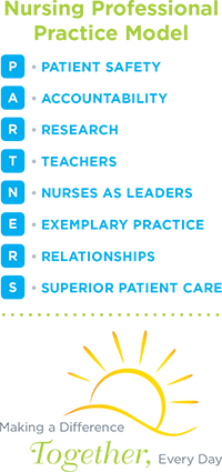 nurse professional practice model