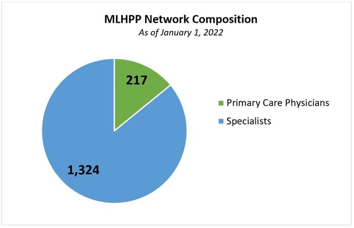 MLHPP network composition pie chart