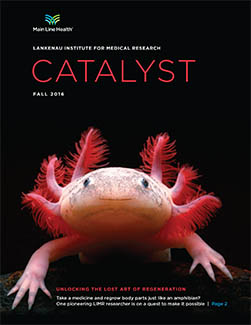 Catalyst magazine - Fall 2016