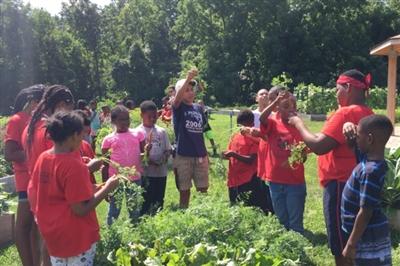 A group of students at the farm learning