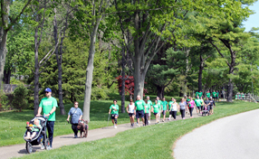 runners, walkers and rollers at the Race to Recovery
