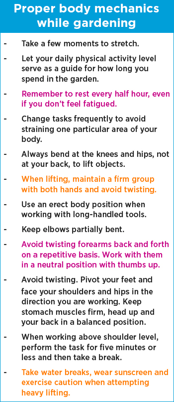 Proper body mechanics while gardening tips