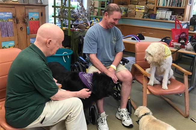 A pet therapy session in the Horticultural Center at Bryn Mawr Rehab Hospital (three dogs with a patient and volunteer)