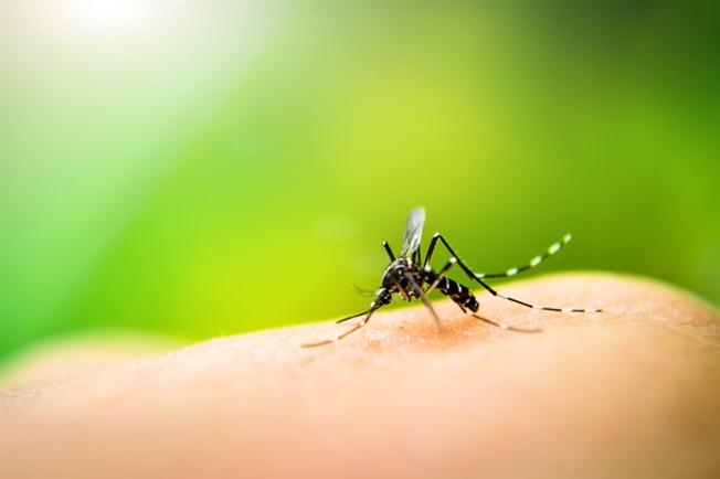 Mosquito-borne illnesses
