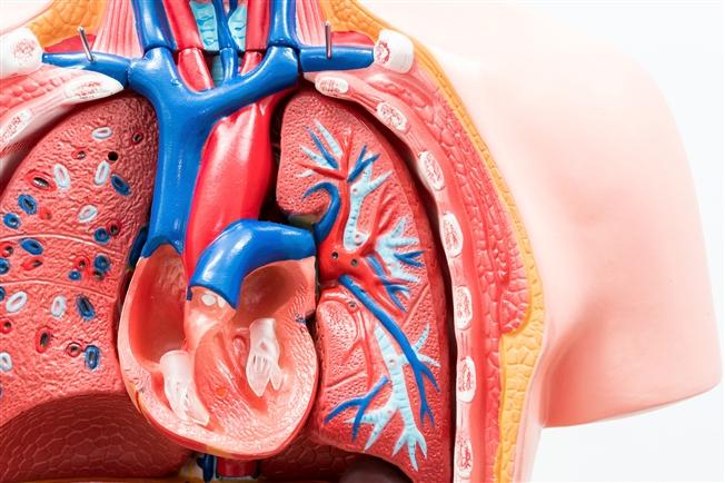 SAVR v TAVR SAVR v TAVR