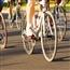 Close up on a group of bikes riding down a road