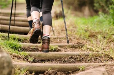 Rear view shot of a woman hiking up the steps on mountain trail using a hiking stick Rear view shot of a woman hiking up the steps on mountain trail using a hiking stick