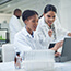Researchers using computer to examine data