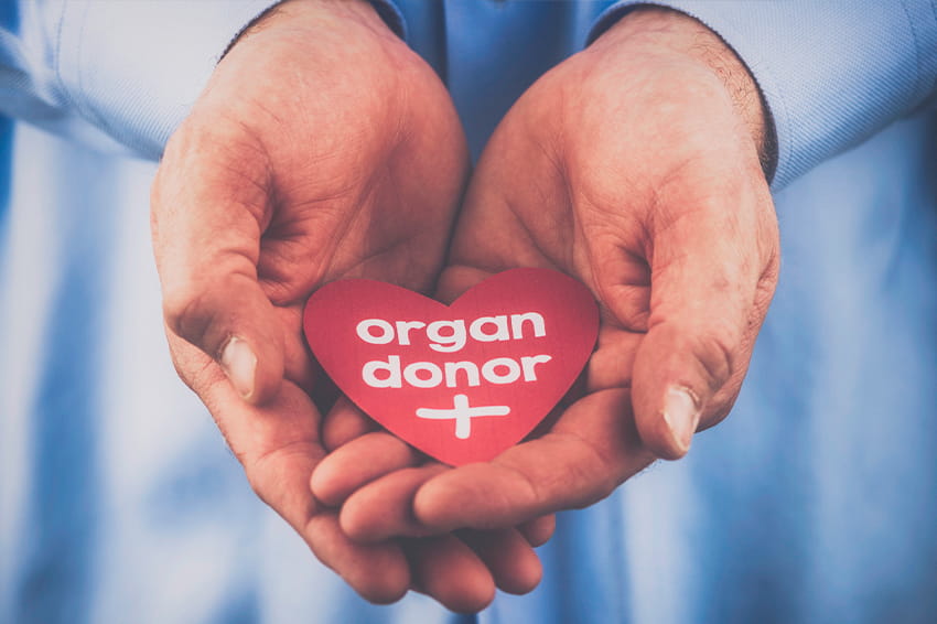 Blog Can you be an organ donor and donate your body to science