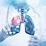 the human lung system on blurred background