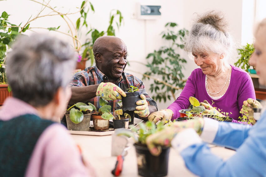 Group of older people working with plants.