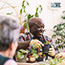 Group of older people working with plants.