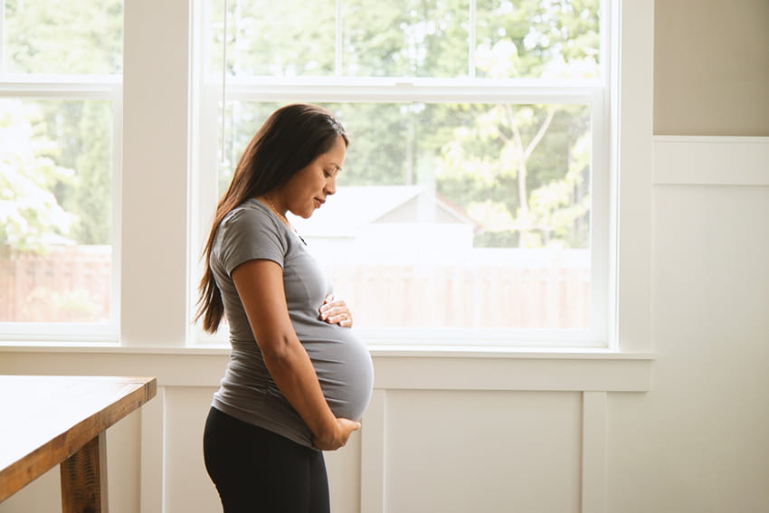 Pregnant woman standing at a window.