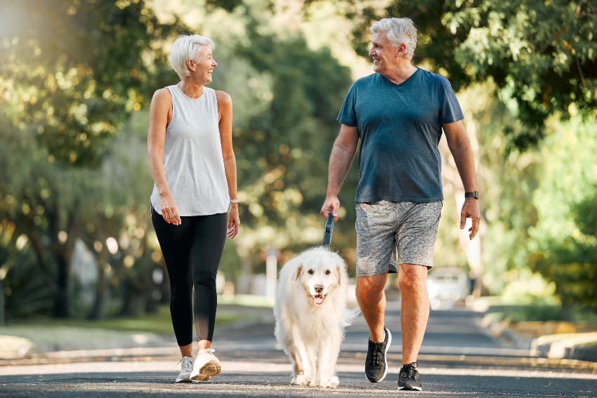 Older people walking a dog in a park.