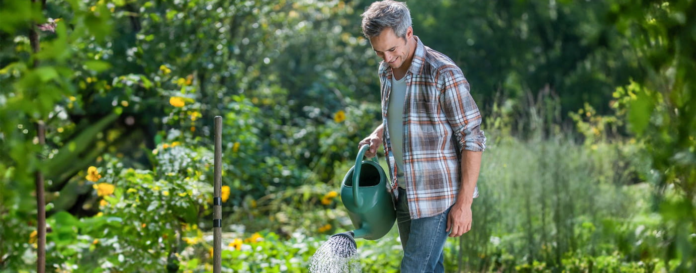 Man watering his garden