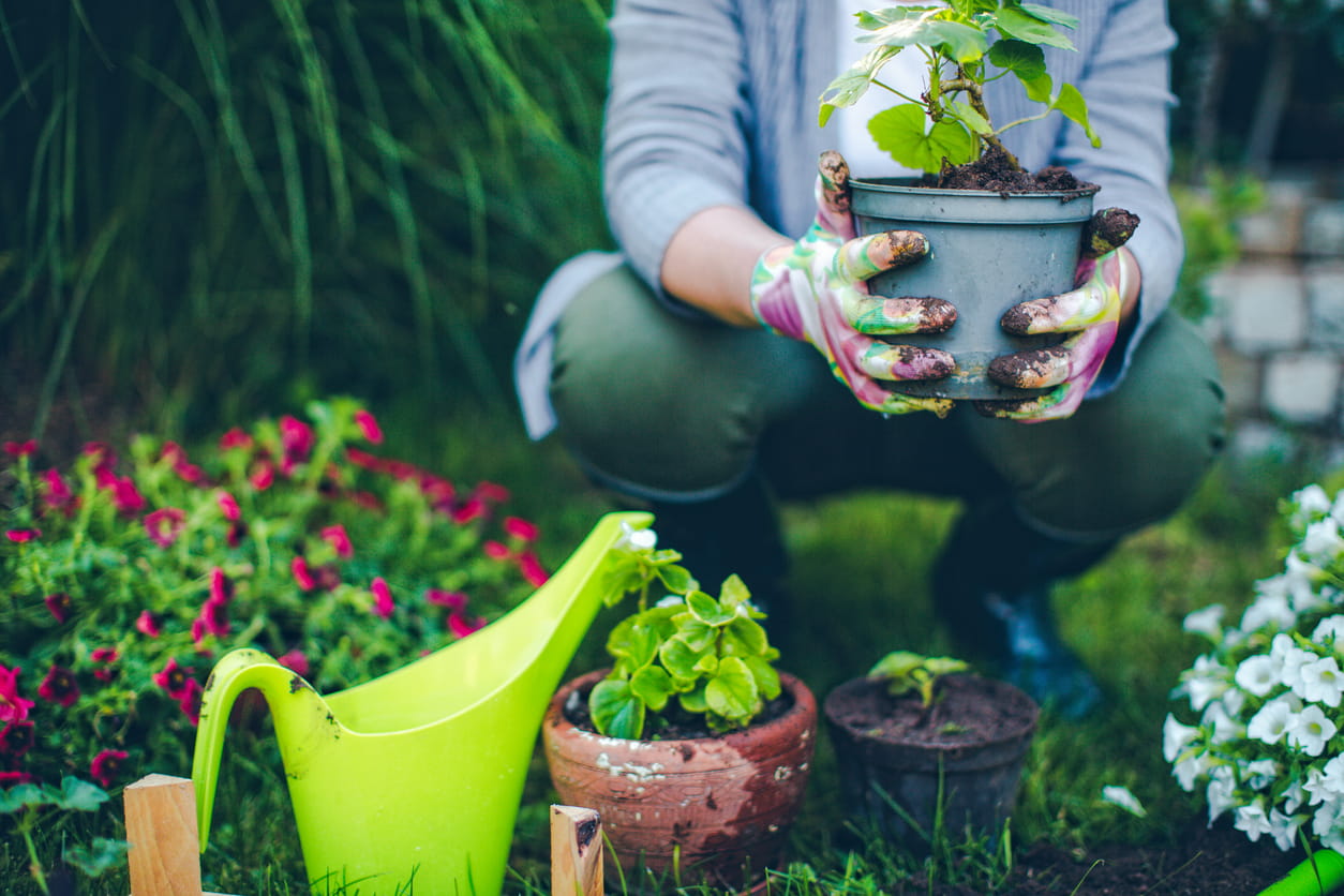 Female gardening.