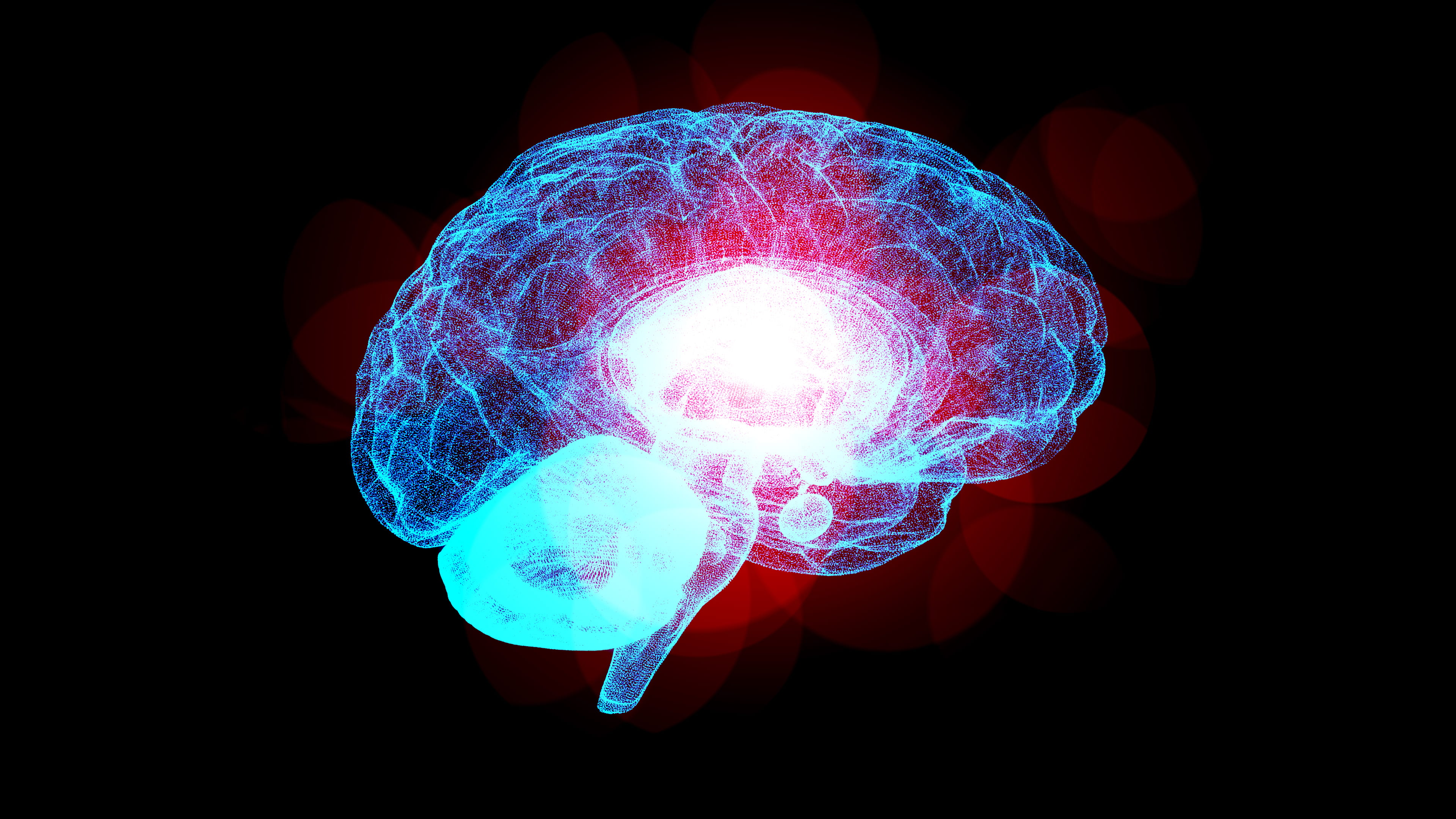 3D Brain