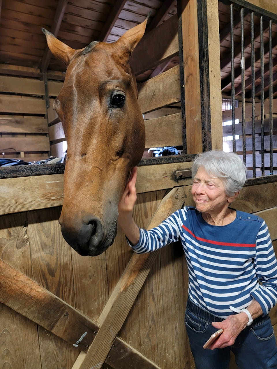 Ellen making friends at the Devon Horse Show.