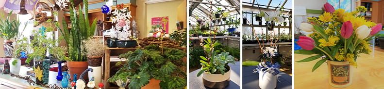 The Horticultural Center offers a variety of floral and botanical arrangements for patients at Bryn Mawr Rehab Hospital