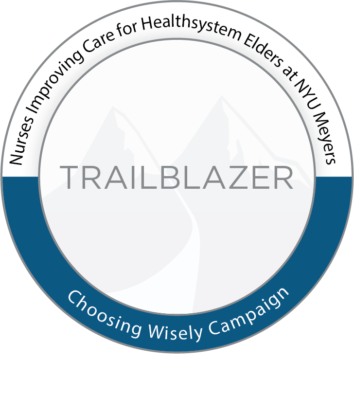 Riddle Hospital NICHE ABIM Trailblazer Award