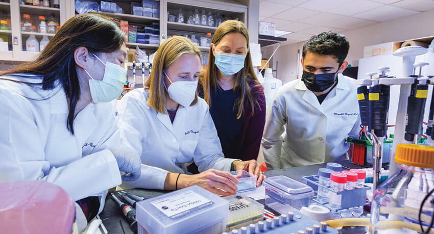 Laura Mandik-Nayak, PhD, (second from right) leads a team of researchers in the fight against autoimmune disease. Others, from left: Weidan Peng, PhD; Lauren Merlo, PhD; and biomedical research assistant Neil Israni.