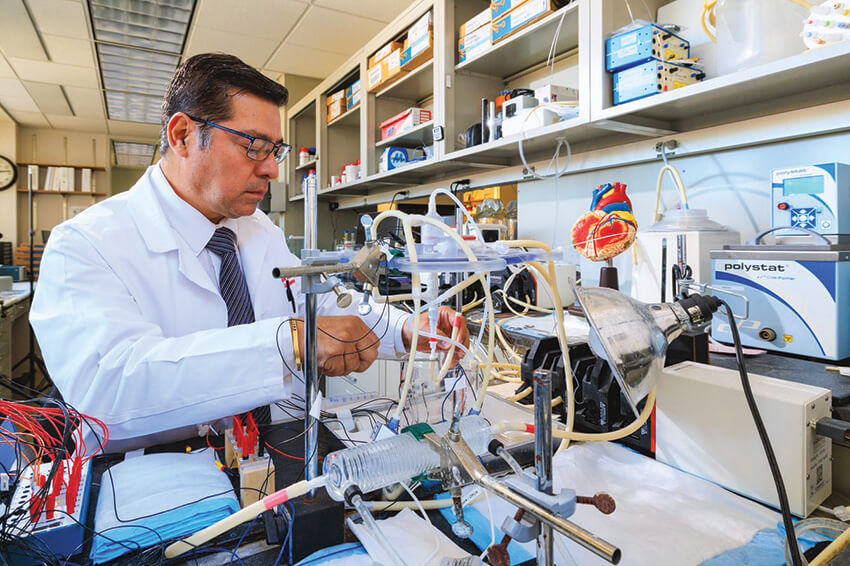 Héctor Barajas-Martínez, PhD, works with a three-dimensional heart model developed by colleague José Di Diego, MD, that mimics an inherited type of arrhythmia.