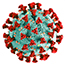 Covid spike protein