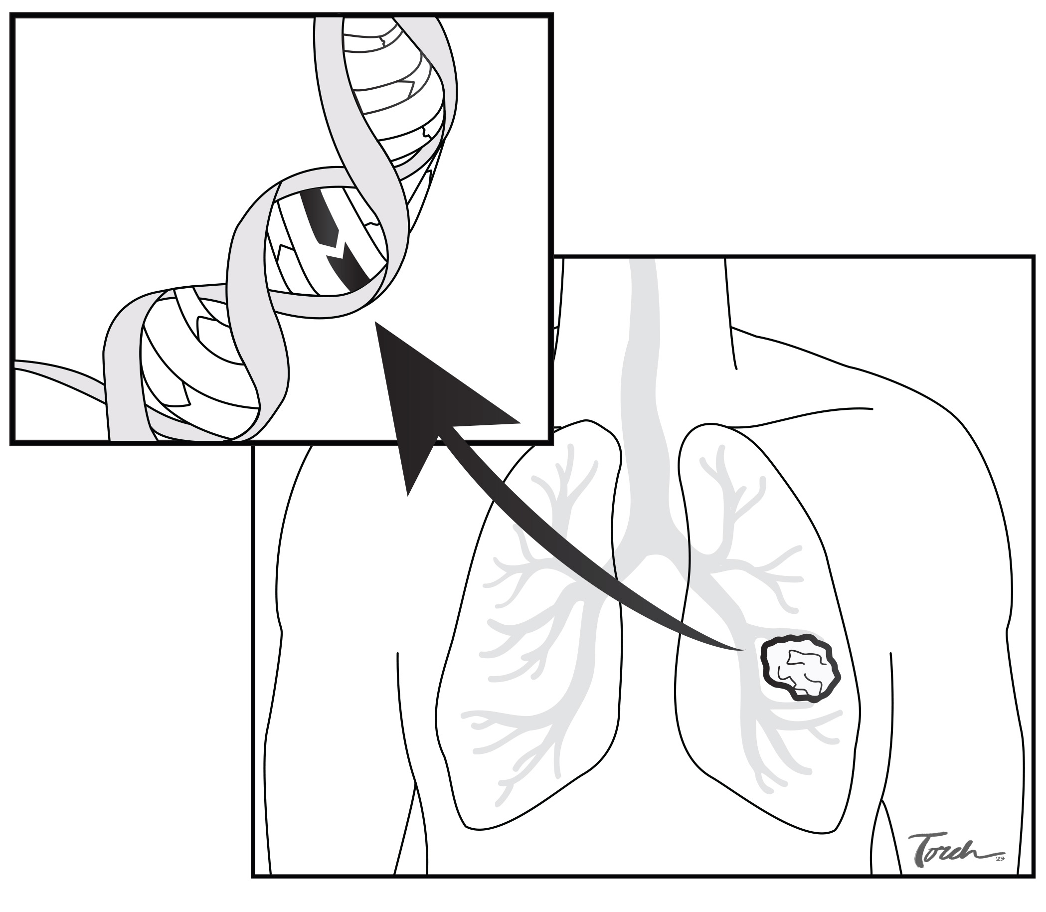 DNA biopsy illustration