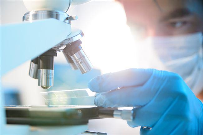 researcher researching researcher researching