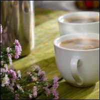 Cups of coffee and flowers on a table