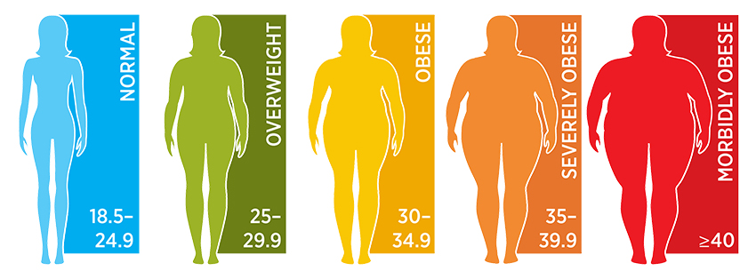 Female body mass index chart