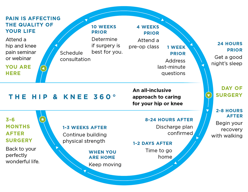 Hip and Knee 360 Timeline