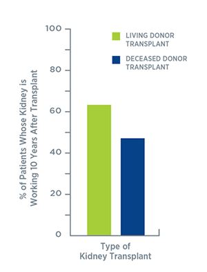 Chart showing percent or patients whose kidney is working 10 years after transplant and which type of transplant