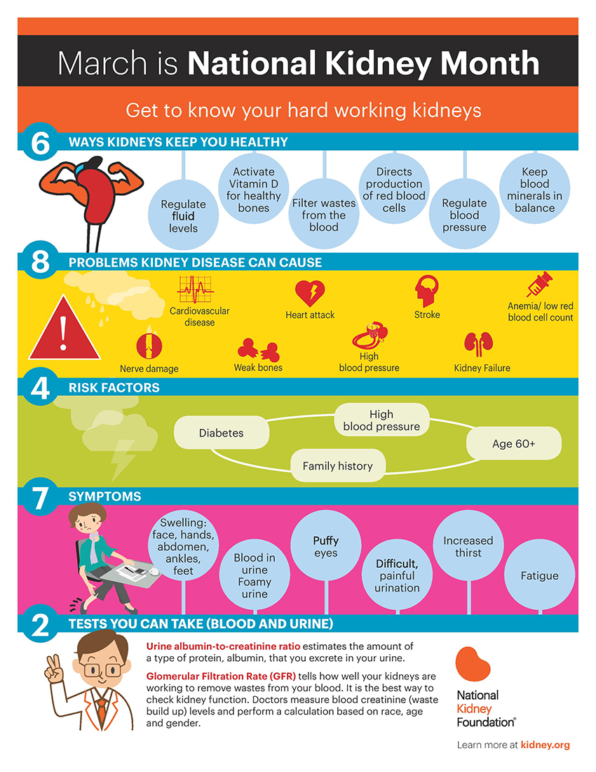 March is National Kidney Month inforgraphic