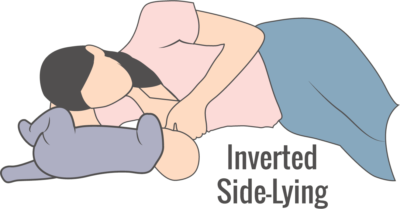 illustration of inverted side-lying breastfeeding hold