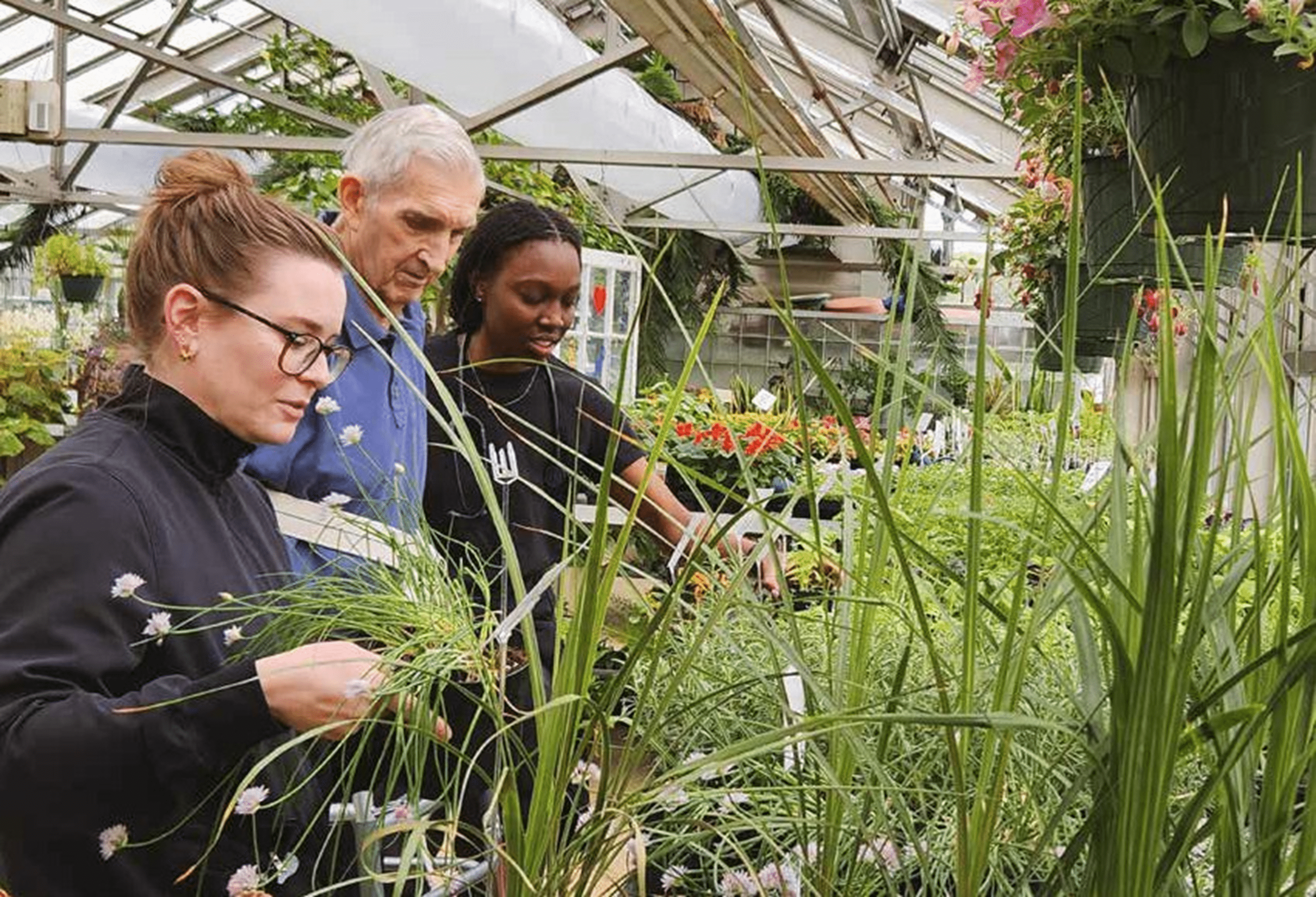 Horticulture therapy