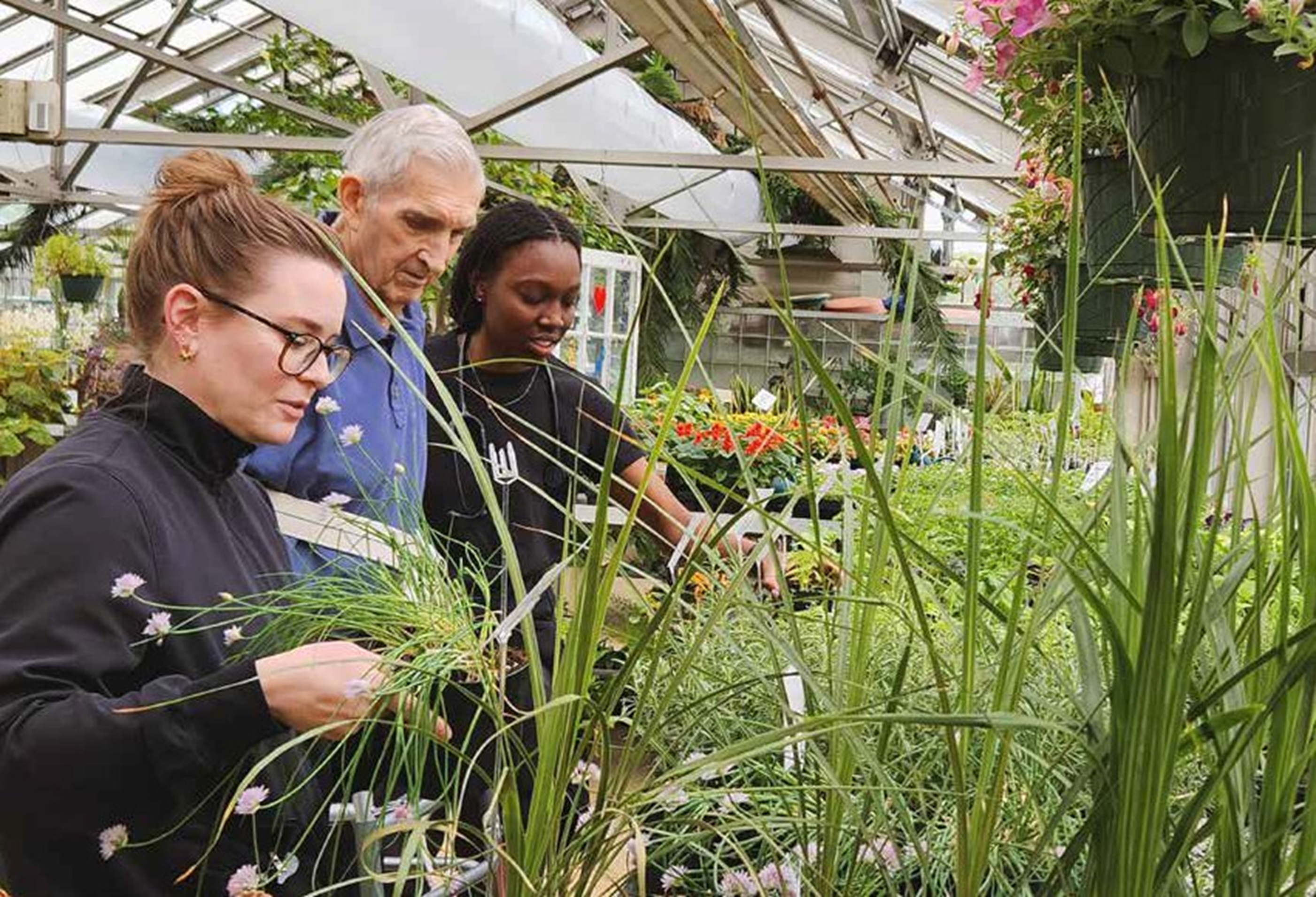 Horticulture therapy
