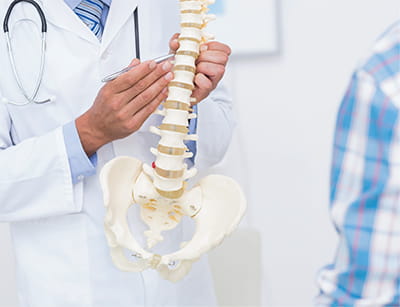 Doctor holding a replica of a person's spine and pelvic bone, pointing out a particular spot to a patient looking on Doctor holding a replica of a person's spine and pelvic bone, pointing out a particular spot to a patient looking on